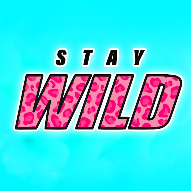 Stay Wild, Creator Mix by Yashwardhan Karekar